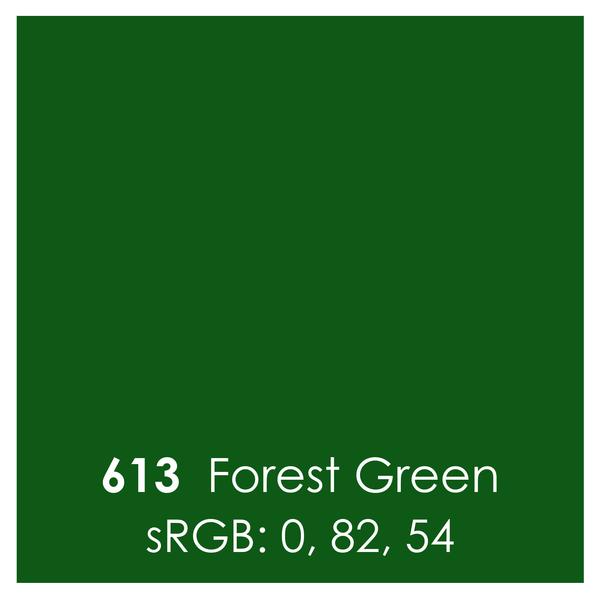 Oracal 651 Permanent Vinyl – Forest Green – 12″ x 12″ | My Craft Store