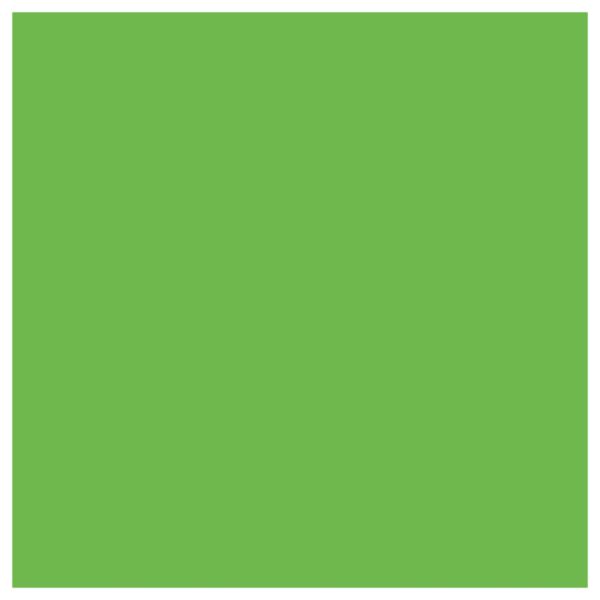 Siser EasyWeed - Green Apple - 12" x 15"